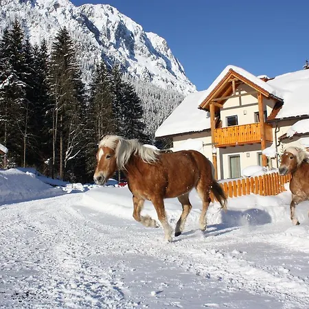 Radmer Daire Radmer an der Hasel