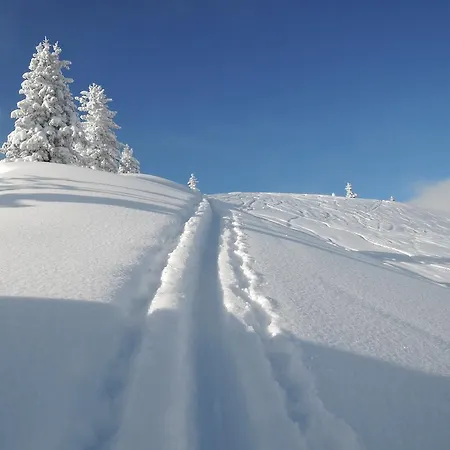 Radmer Daire Radmer an der Hasel