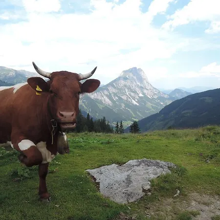 Radmer Daire Radmer an der Hasel