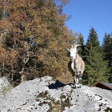 Radmer Daire Radmer an der Hasel