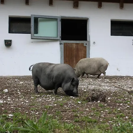 Daire Radmer Radmer an der Hasel