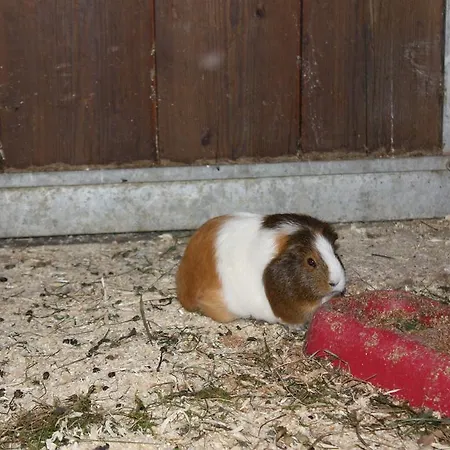 Radmer * Radmer an der Hasel